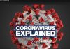 Coronavirus explained – What is covid-19?