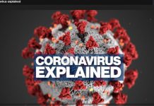 Coronavirus explained – What is covid-19?