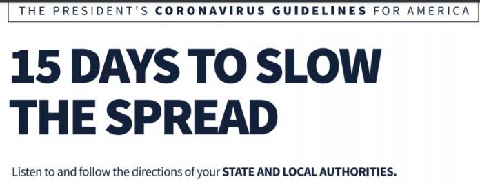 president coronavirus guide