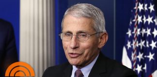 Dr. Anthony Fauci: ‘We Will Have Coronavirus In The Fall’